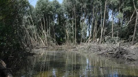 Новое водяное
