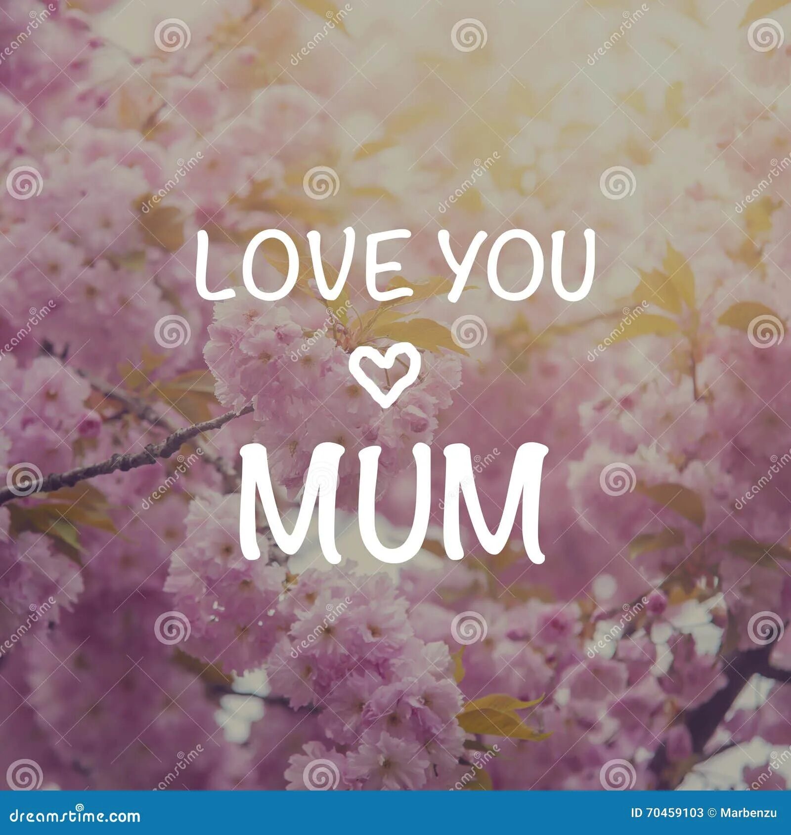 Love lore. I Love you mum. I Love you мама. Картинки i Love you mum. I Love mum надпись.