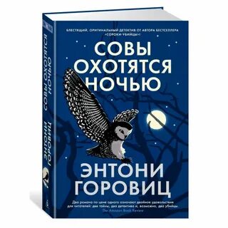 Совы охотятся ночью 2024
