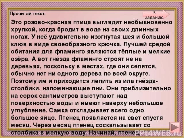 Розовая колпица. Это розово красная птица выглядит необыкновенно ответы. Попугай с расправленными крыльями фото. Колпица ибис. Розовый фламинго красная книга.