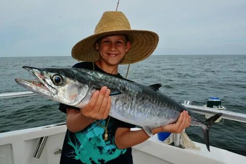 King fish fishing