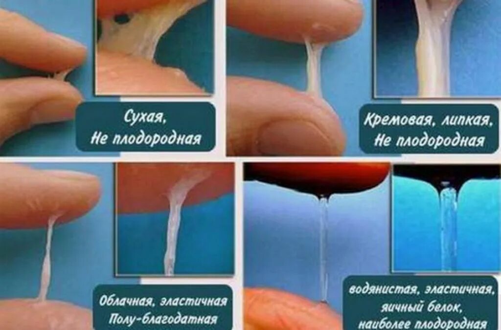 Выделения по цвету. Выделения при овуляции. выделения яичный белок при овуляции. выделения овуляции при овуляции. при овуляции есть выделения.