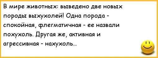 Анекдот ежик выхухоль. Анекдот про выхухоль. похухоль и нахухоль анекдот. анекдот про выхухоль и ежика.
