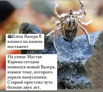 Клещ валера
