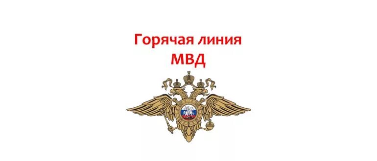 Горячая линия полиции. Линии МВД. Горячая линия МВД РФ. Прямая телефонная линия МВД. Горячий номер мвд