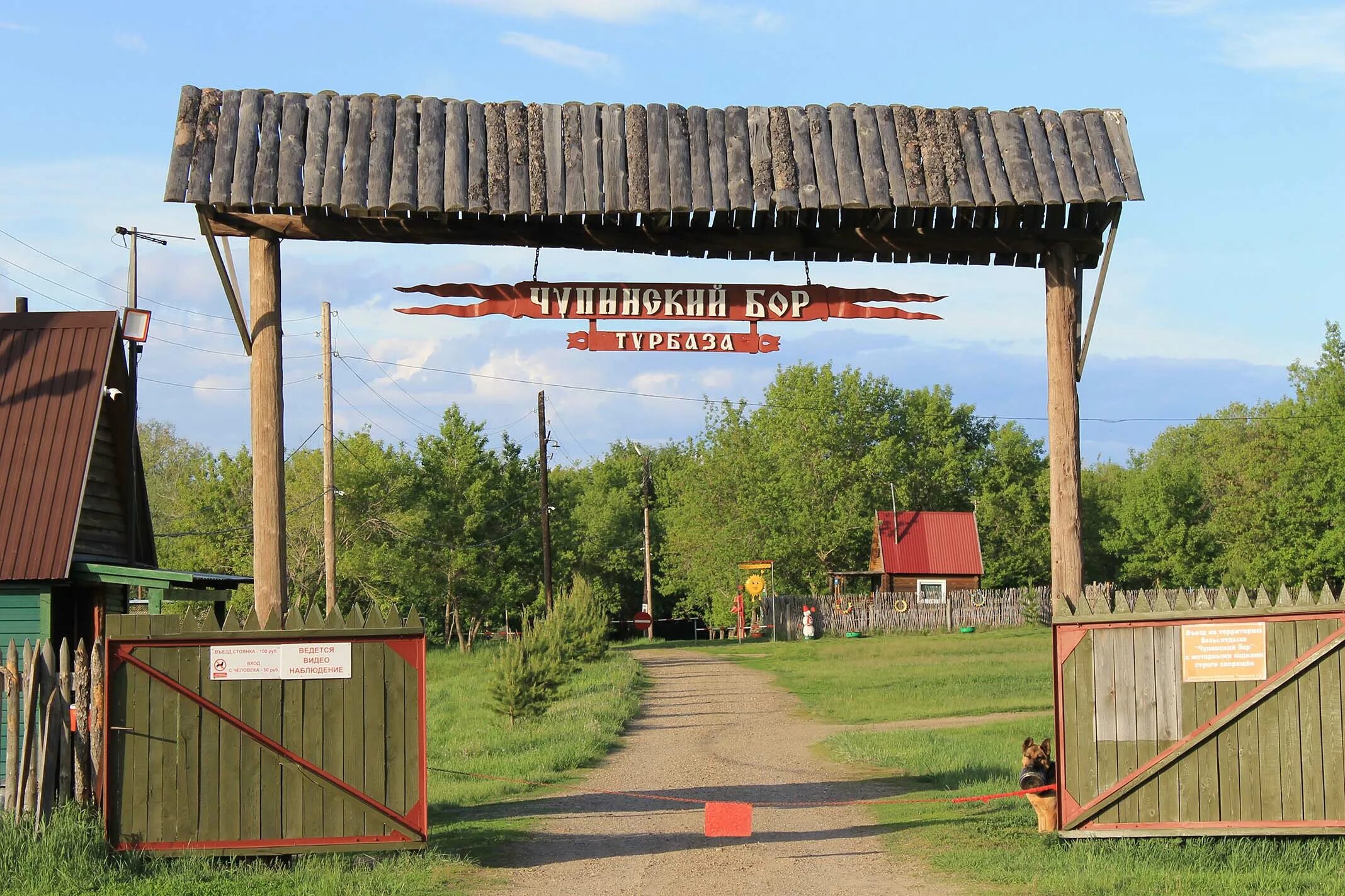 Чупинский Бор Алтайский край