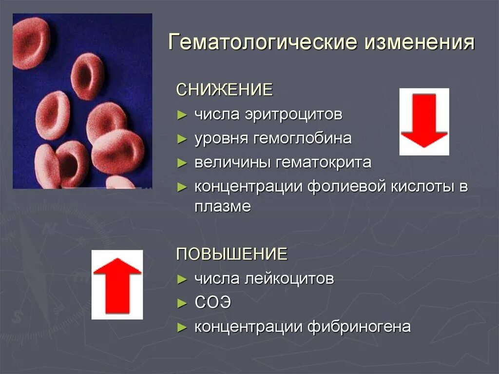 При каком заболевании эритроцитов. Повышение СОЭ И понижение гемоглобина и эритроцитов. Увеличение эритроцитов и гемоглобина, лейкоцитов снижена СОЭ. Уменьшение эритроцитов при анемии. Уменьшение содержания эритроцитов в крови называется.