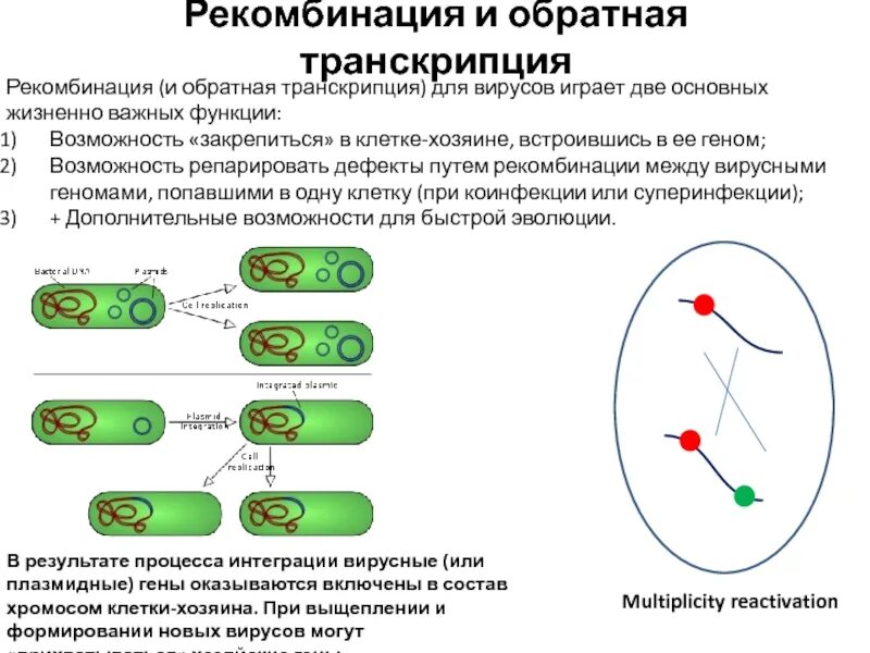 Определение рекомбинации