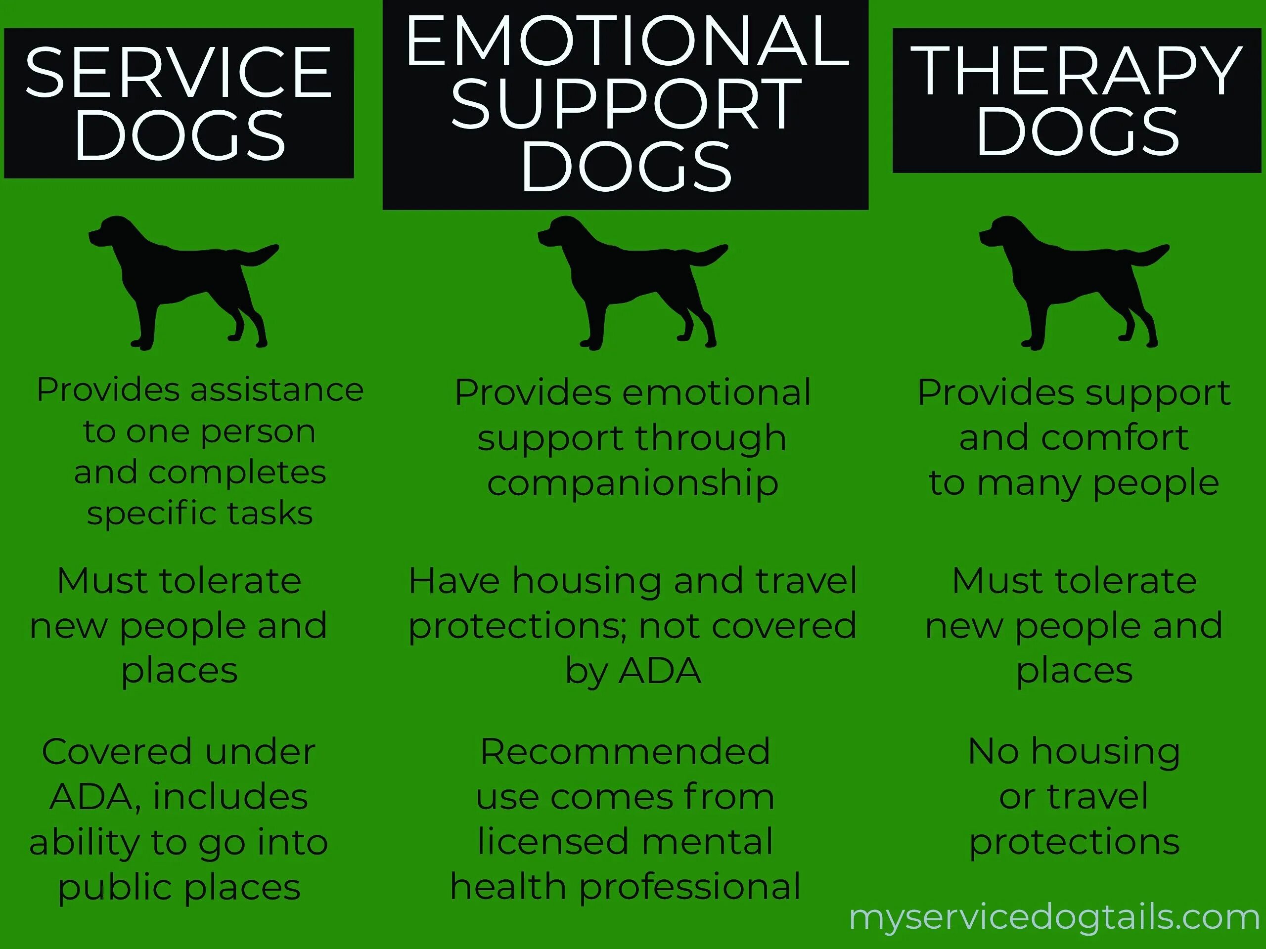 Support animals. Emotional support dog. therapy dog. therapeutic dog. the black dog meaning.