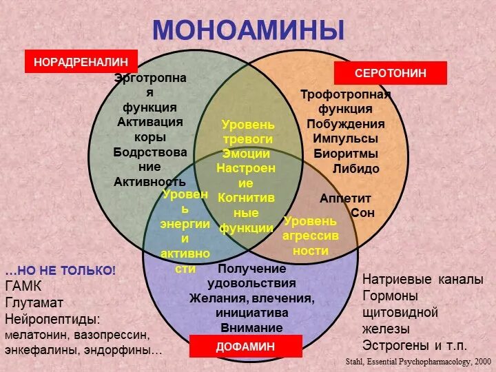 Выработка чувств