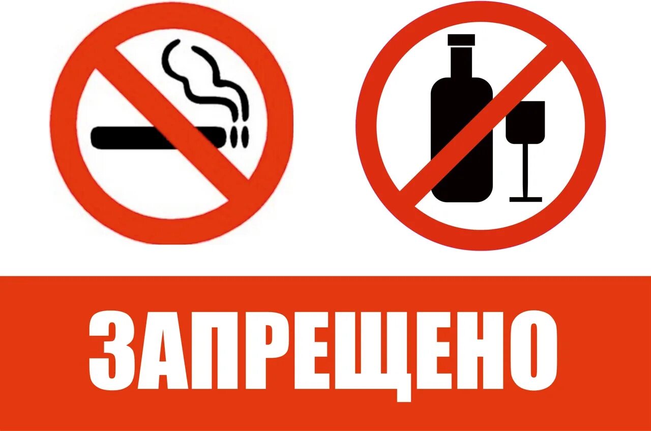 Не пьющий не курящий