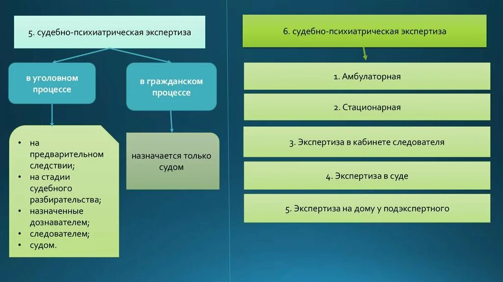 Основания производства экспертизы. Судебно-психологическая экспертиза в уголовном процессе. Виды судебной психиатрии. Экспертизы в гражданском судопроизводстве. Предмет судебно-психиатрической экспертизы в уголовном процессе.