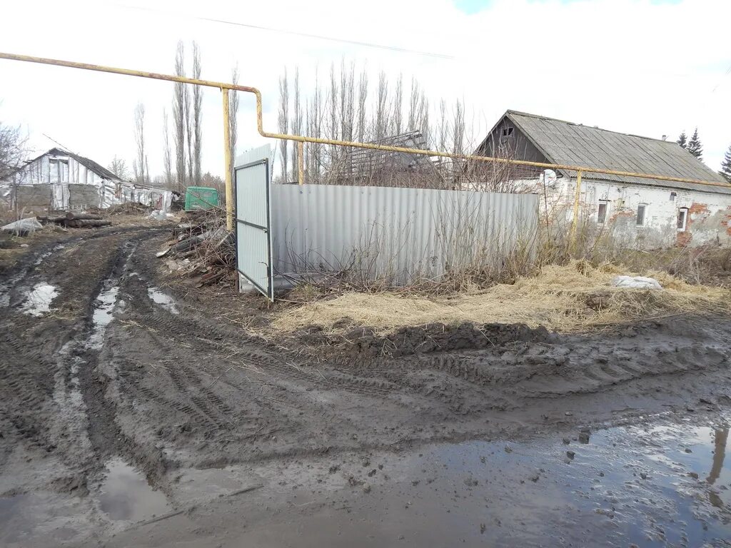 Погода рождественская хава воронежская. Рождественская хава достопримечательности. Погода рождественская хава воронежская. Церковь рождественская хава воронежская область. Рождественская хава воронежская область.