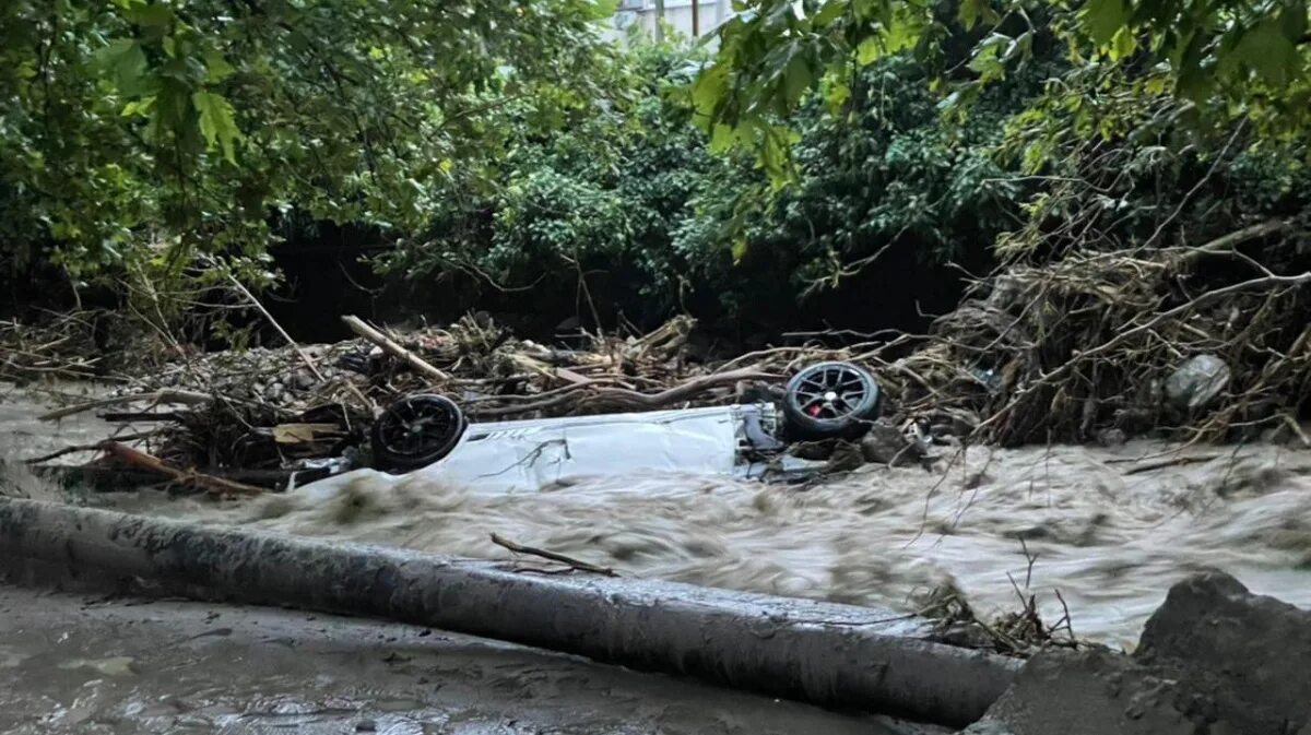 Падали машины в воду. Потоп в Ялте Мерседес. Машина упала в море. Стихия грязи. Дерево упало в море.