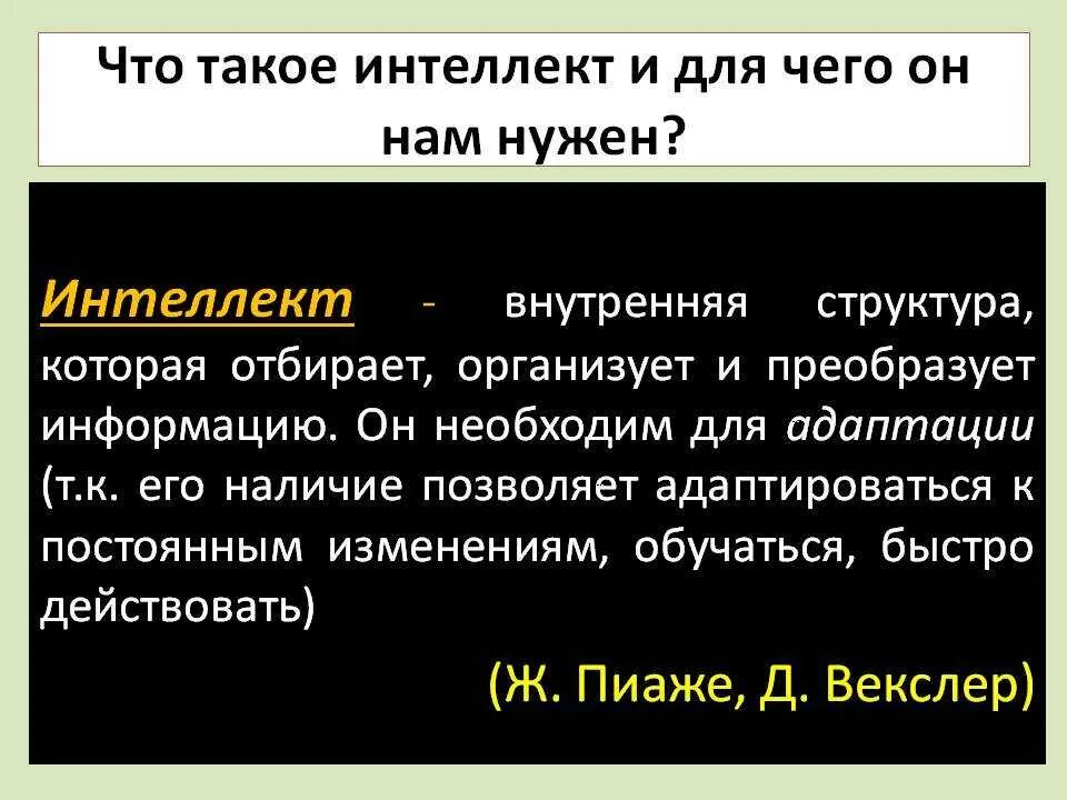 Симпить. Интеллект. Интеллект определение. Интеллектуальные способности. Интеллект человека.