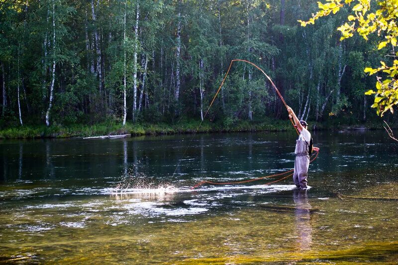 Рыболовство в тайге. Рыбалка в тайге. Рыбак в тайге. Озеро лес рыбалка. Лов рыбы на реке