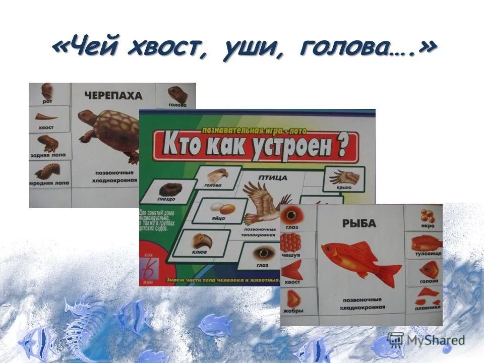 уши хвост селятино