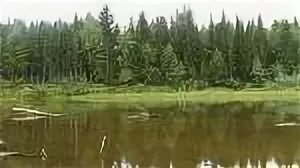 Река Арлеть в Селтинском районе. Валамаз (Селтинский район)река уть. Речная 60 родники