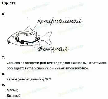 Биология 7 класс лабораторная номер 1