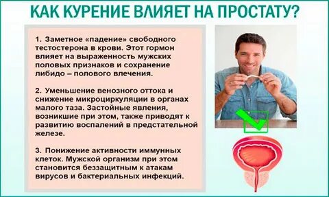 Как курение влияет на потенцию у мужчин