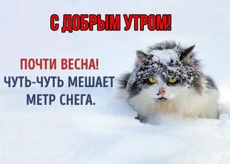 Чуть чуть снега