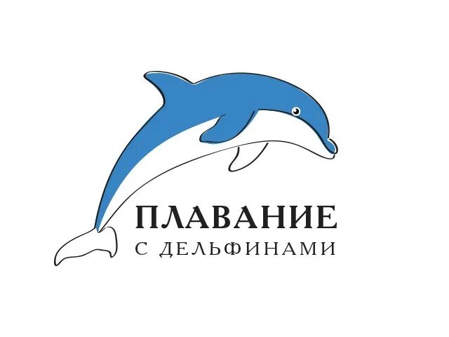 Сайт дельфин красноярск. Подарочный сертификат на плавание с дельфинами. Сертификат на купание с дельфинами. Подарочный сертификат купание с дельфинами. Сертификат в дельфинарий.