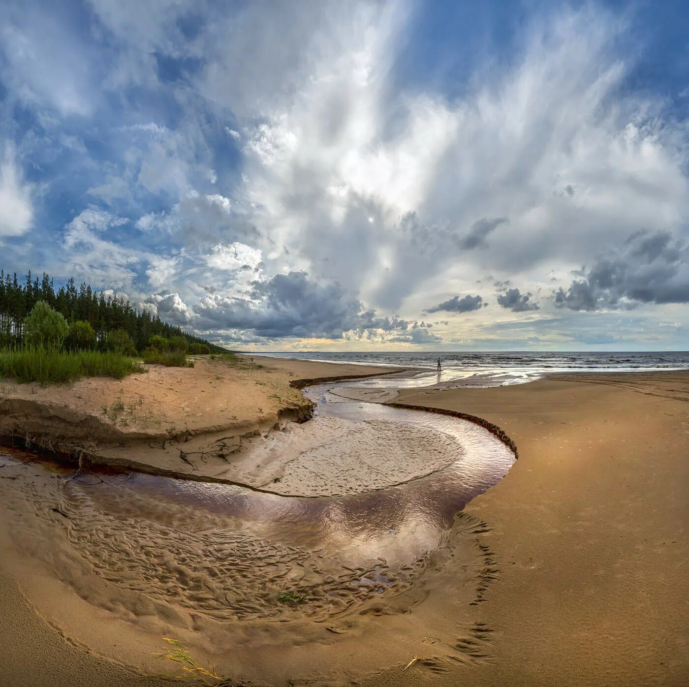 Финский залив соленая вода. Кургальский заповедник финский залив. Кургальский заказник пляж. Реки финского залива. Финский залив пляж с песком.