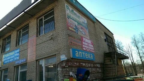 Птичное ул центральная 100