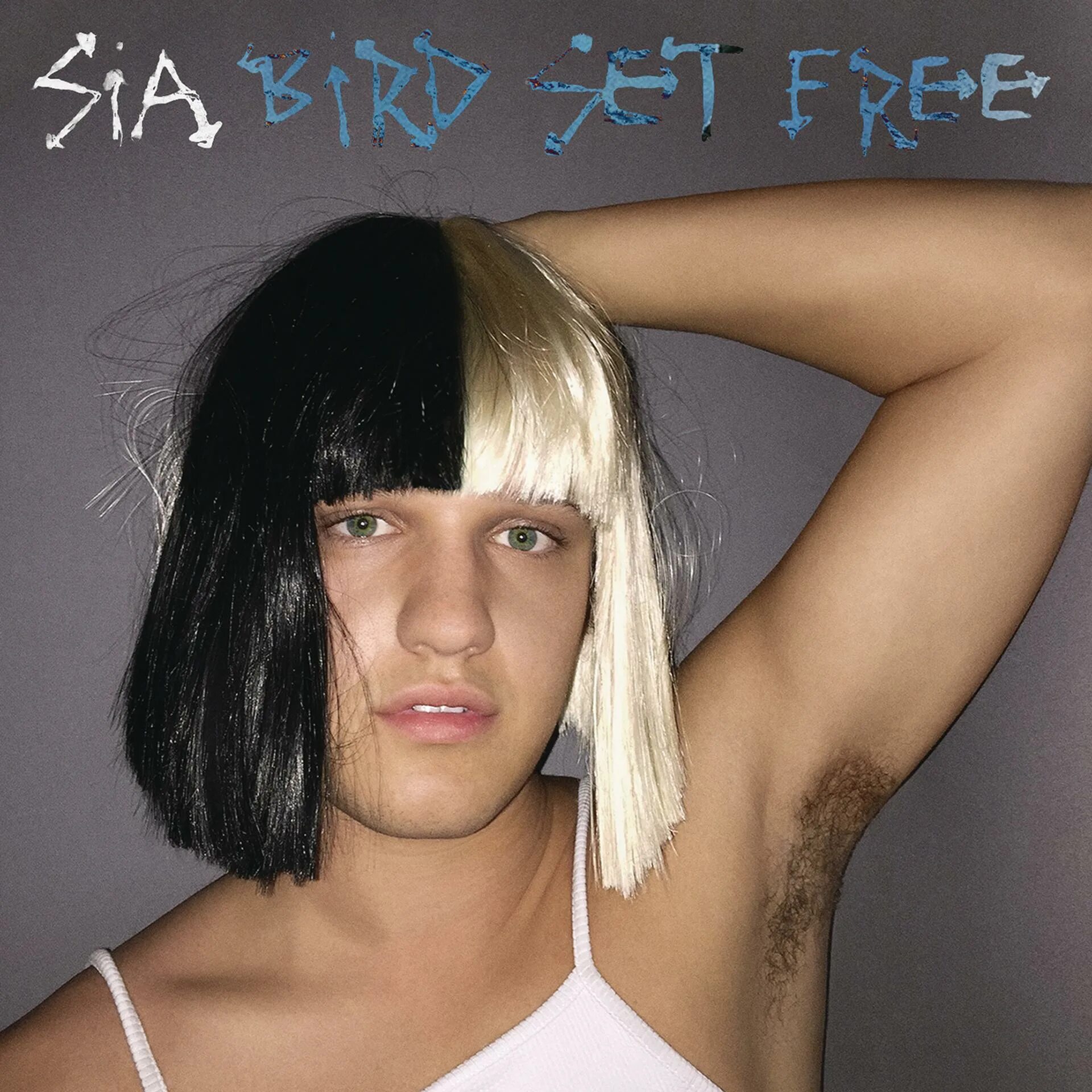 Sia bird. Sia стрижка. Сиа австралийская певица альбомы. Sia обложки альбомов.