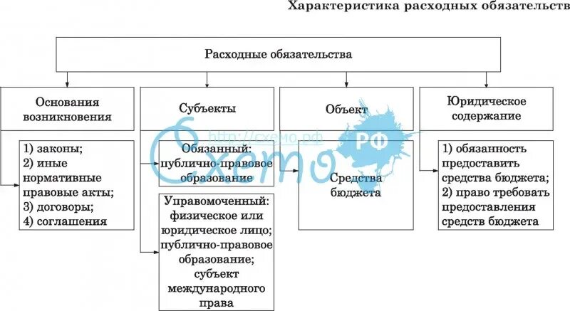 Расходные обязательства схема. Расходные обязательства муниципального образования схема. Расходные обязательства и публичные обязательства. Характеристики расходного обязательства. Установление расходного обязательства