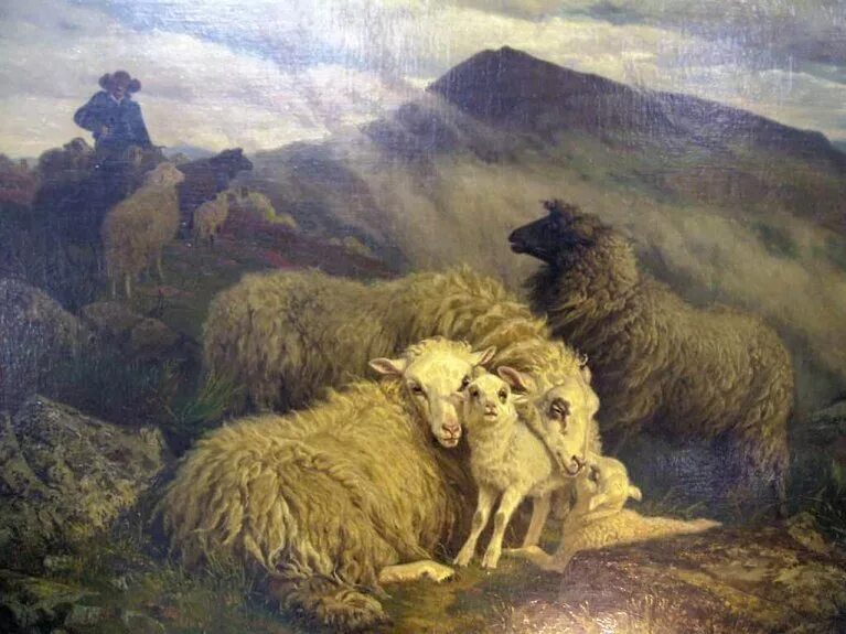 Птица баран. Шенк август фридрих альбрехт картины. Овцы в баснях крылова. Франция. Уильям холман хант strayed sheep.