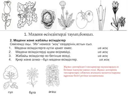 Порнографиялық фильм xxx