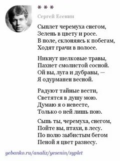 Капли есенина