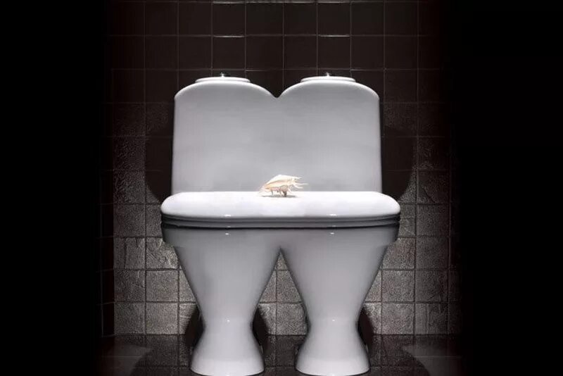 Смешное приглашение на свидание. Сдвоенный унитаз. Двойной унитаз. Унитаз для двоих. Сдвоенный унитаз.