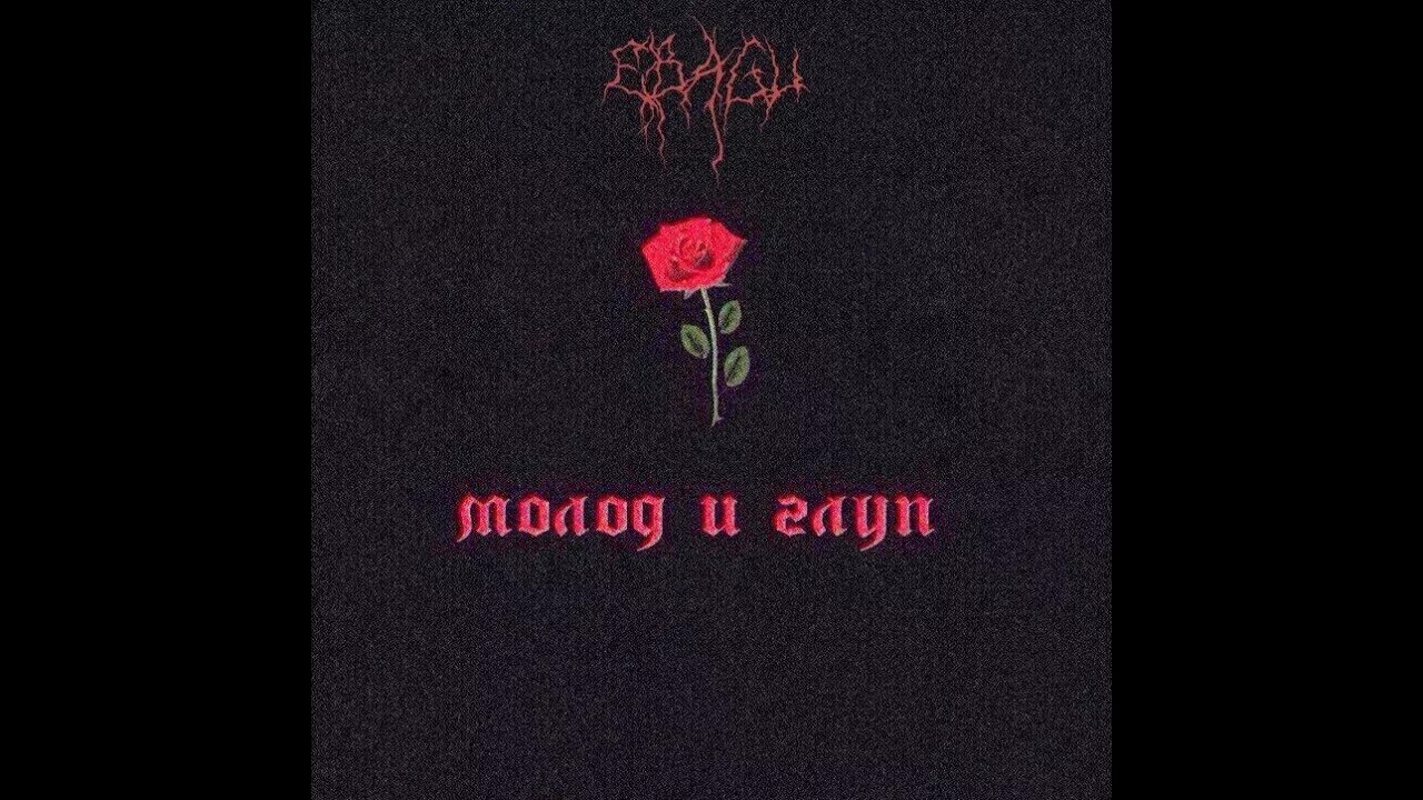 Надпись молод и глуп. Молод и глуп текст. Роза с надписью молод и глуп. Молод и глуп картинка. Текст песни молод и глуп.