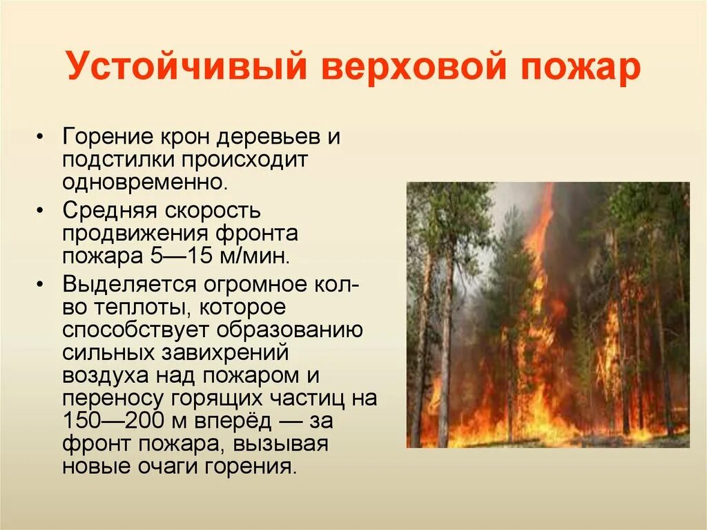 Верховой пожар наиболее опасен ответы. Верховой пожар. Верховой Лесной пожар. Устойчивый верховой пожар. Беглый верховой пожар.