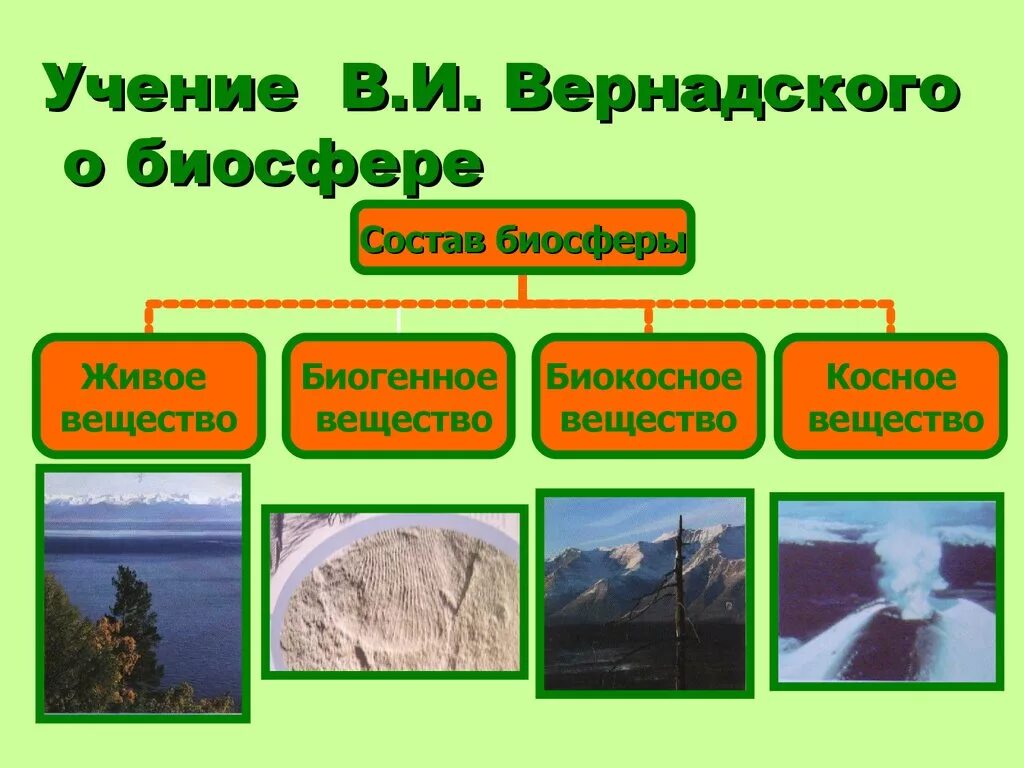 Установи соответствие природных комплексов. Структура биосферы Вернадский. Структура биосферы. Косное вещество биосферы.. Учение Вернадского о биосфере таблицы. Учение Вернадского о биосфере.