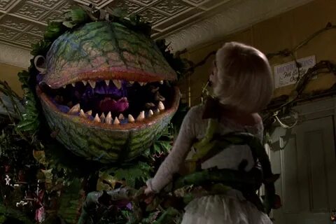 Horror plant