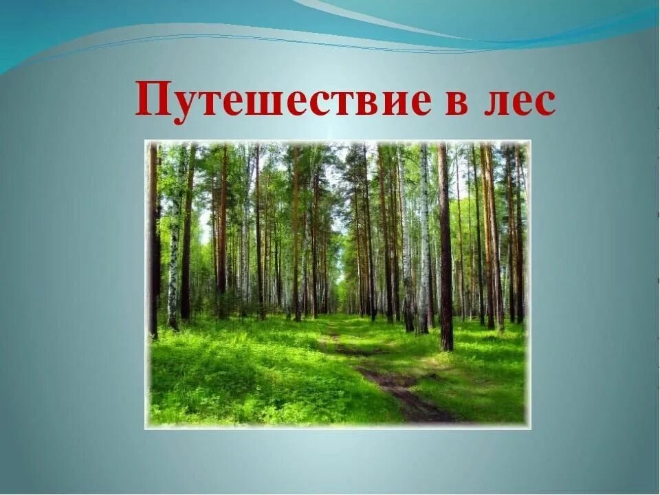 Конспект занятия путешествие в лес. Надпись путешествие в лес. Лес название. Путешествие в лес. Путешествие по лесу для детей.