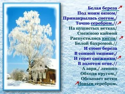 Стихотворение я заглядывал под кочки под березовые