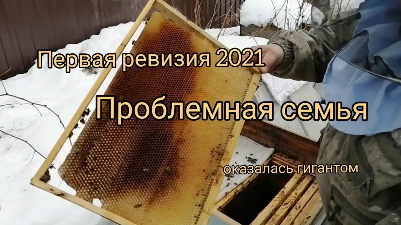 Ревизия 2021. Ревизия 2021. Ревизия 2021. Ревизия 2021. Ревизия 2021.