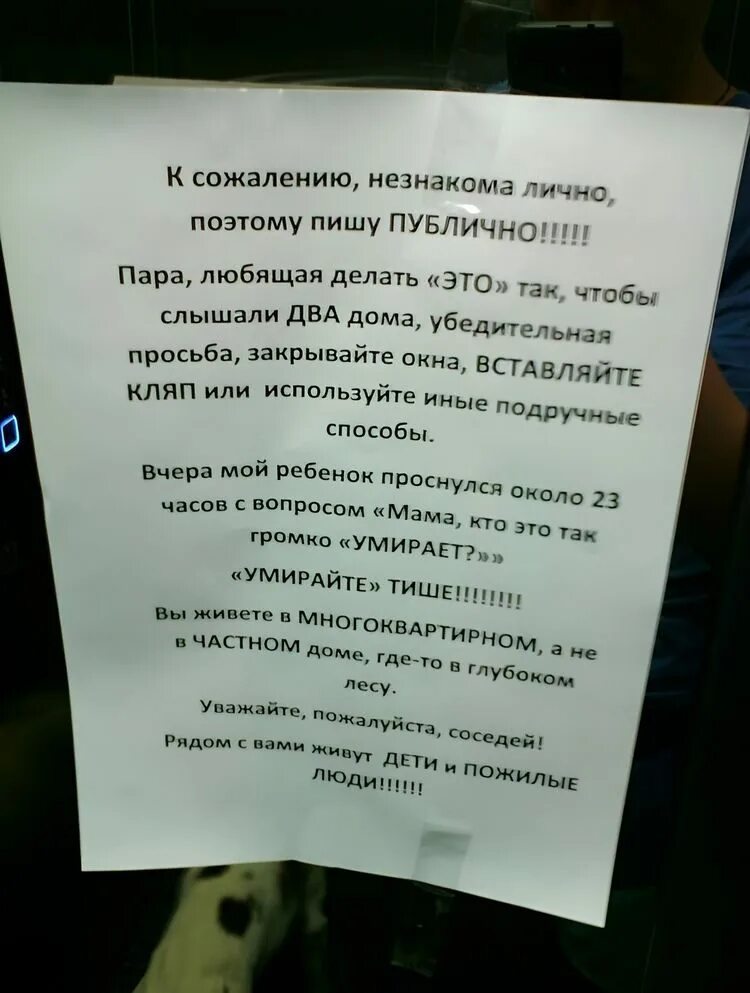 Чтоб соседям слышно не было. Объявление для соседей. записка шумным соседям. объявления для соседей которые шумят. объявления для шумных соседей в подъезде.