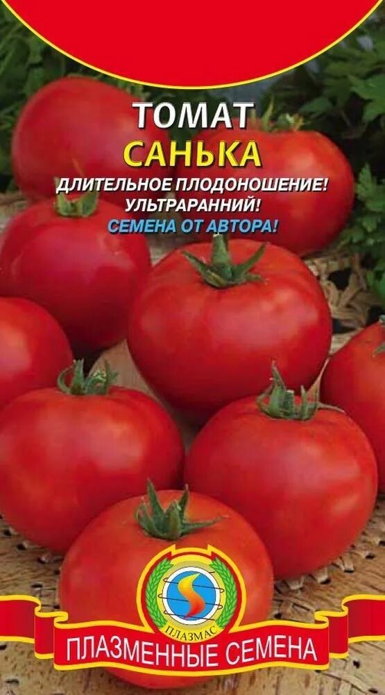 Томат санька. Семена томат санька. семена томат санька аэлита. сорт томатов санька. санька ультраранний томат.