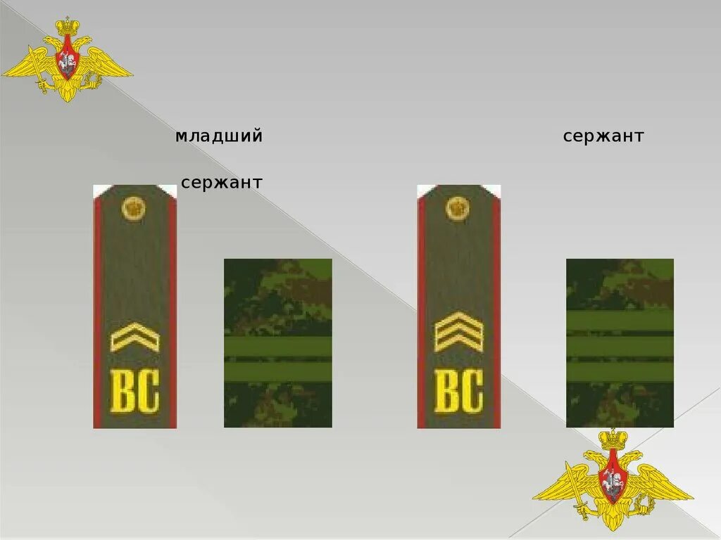 Присвоено звание сержанта. Звание ефрейтор в Российской армии. Погоны старшины Российской армии. Погоны старшего сержанта Российской армии. Погоны младший сержант РФ.