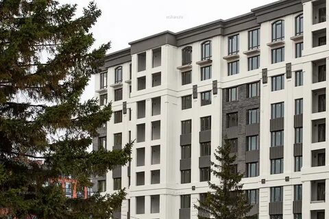 Жк лев