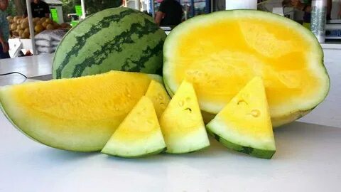 Желтый арбуз с чем скрещен