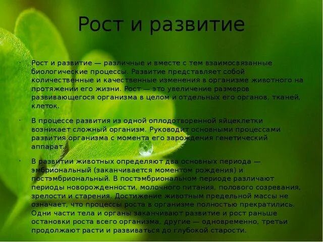 Почему рост и развитие взаимосвязаны 6 класс. Почему рост и развитие взаимосвязаны. Процессы роста и развития. Почему рост и развитие организмов взаимосвязаны. Значение роста и развития для организмов.