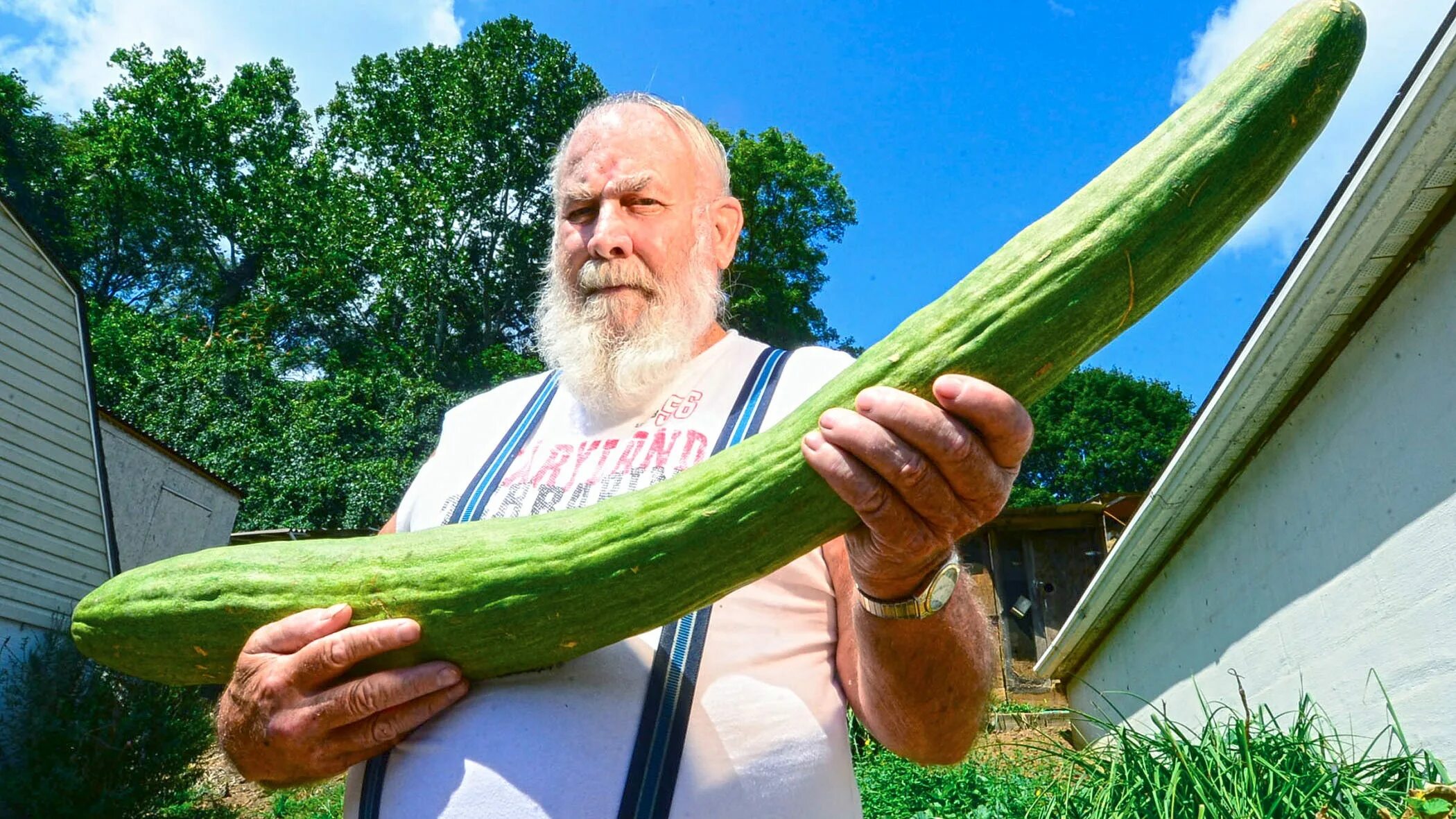 Кукумбер что это