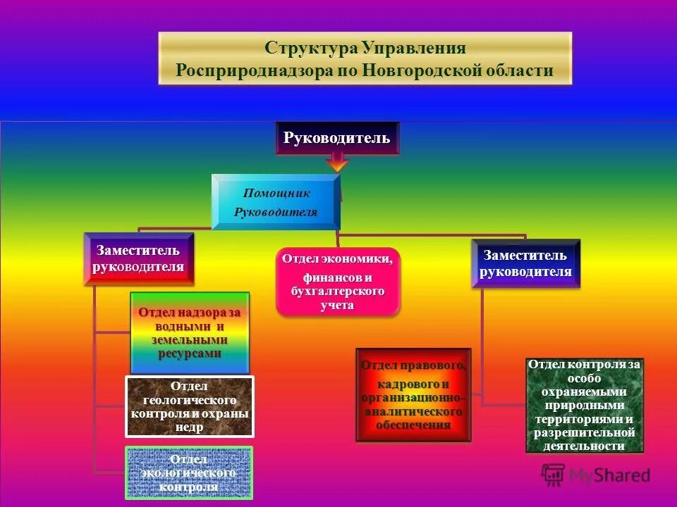 фаяз шакиров. отделы росприроднадзора. отделы росприроднадзора. росприроднадзор схема управления. федеральный департамент.