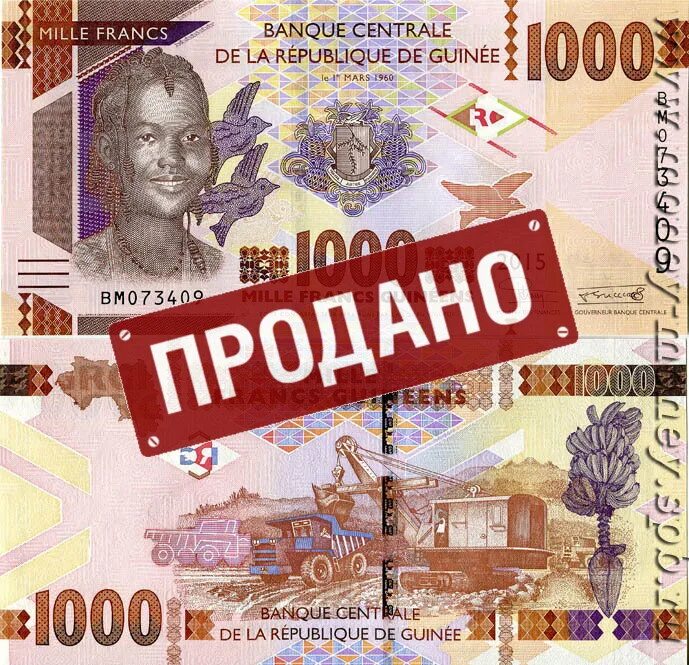 1000 Гвинейских франков. Банкнота 1000 франков. Франк купюра 1000. Франк монеты и банкноты.